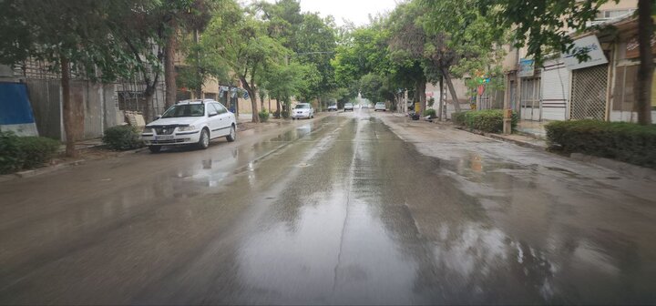 بوسه باران بر گونه خشک مازندران؛ جنگل‌ها نفس تازه کردند