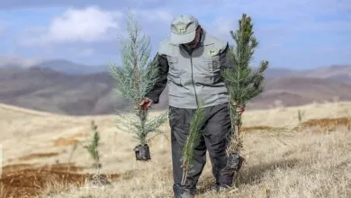 پایگاه اطلاع رسانی ایران