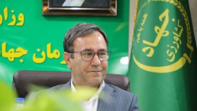 ۴۰ هکتار گلخانه جدید در لرستان احداث می‌شود