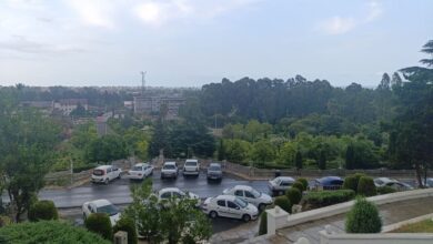 بوسه باران بر گونه خشک مازندران؛ جنگل‌ها نفس تازه کردند