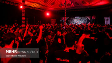 سینه زنی پرشور عزاداران حسینی در حرم حضرت اباعبدالله