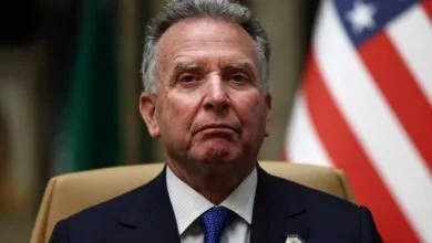 5654715.jpg