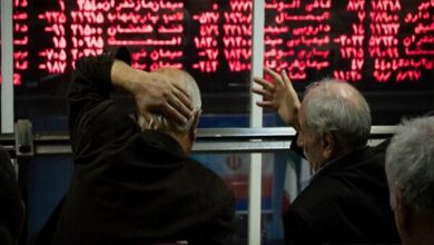 تولید ۳۲۱هزار تنی شیر توسط دامپروران بورسی؛ بررسی سهام شیرفروش در بورس