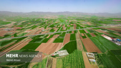 دست‌ودل‌بازی برای افراد خاص با واگذاری اراضی ملی به مبلغ ناچیز !