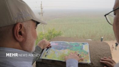 آتش‌سوزی هورالعظیم فردا در هیئت دولت مطرح می‌شود