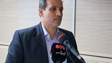 تولید بیش از ۴۱ هزار تن بذر اصلاح‌شده گندم در کرمانشاه