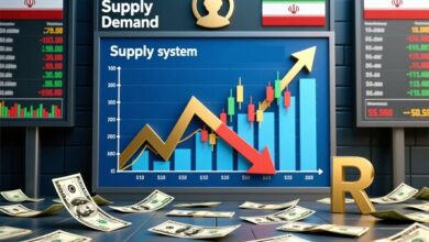واقعیت نرخ ارز را بازار تعیین می‌کند، نه شعارهای سیاست‌گزاران