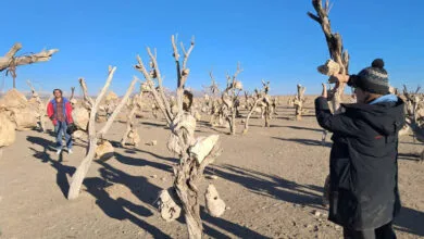 پایگاه اطلاع رسانی ایران
