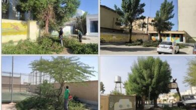 طرح هرس و پاکسازی فضای سبز مدارس بوشهر اجرا شد