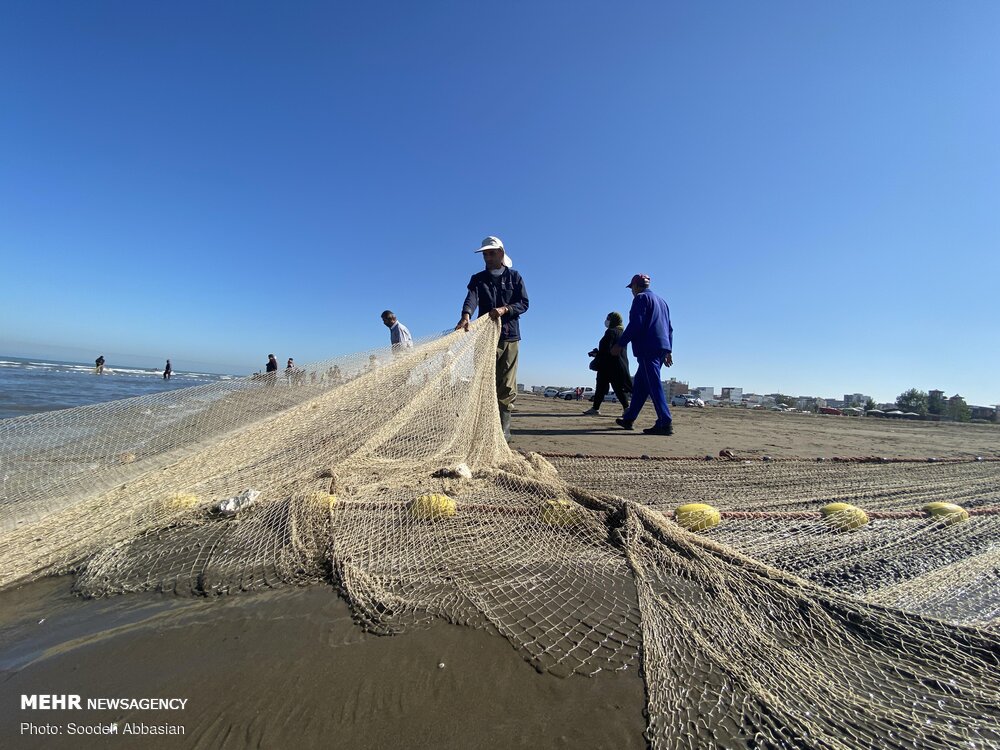 تور صیادان شرق مازندران در دریای خزر پهن شد