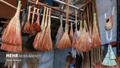 «امیرکلا»؛ شهر جاروبافی