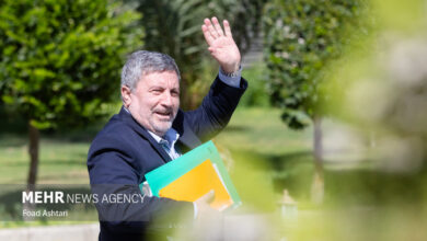 حضرتی: مشاوران نسل زد هر کاری بتوانند برای ایران انجام می دهند