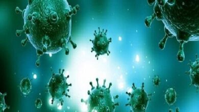 رحمانی:۱۰ تا ۱۲ درصد از موارد نمونه‌گیری آنفلوآنزا در کردستان مثبت است