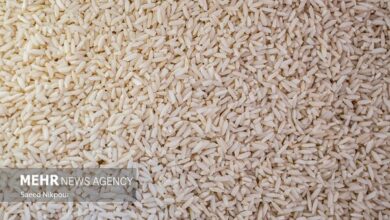 شهرزاد: محموله برنج پاکستانی وارد استان هرمزگان شد