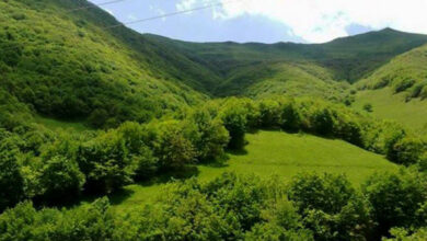 کامیاب: حفاظت از منابع طبیعی بدون مشارکت مردم ممکن نیست