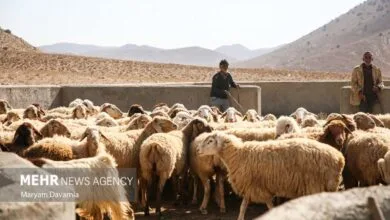 پایگاه اطلاع رسانی ایران