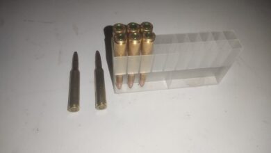 شکارچیان متخلف در پناهگاه حیات‌وحش صیدوا به دام افتادند