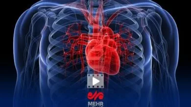 پایگاه اطلاع رسانی ایران