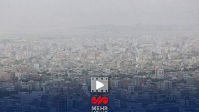 پیرهادی: ترک‌فعل‌ها در مدیریت آلودگی هوا بی‌پاسخ مانده است