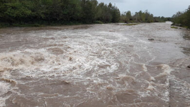 رودخانه‌های دلگان طغیان کردند