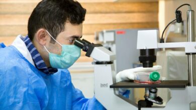 پژوهش؛ سوخت موتور توسعه همه جانبه فارس