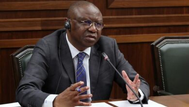 وزیر دفاع آفریقای مرکزی: کمک روسیه باعث توقف خشونت در کشور شد