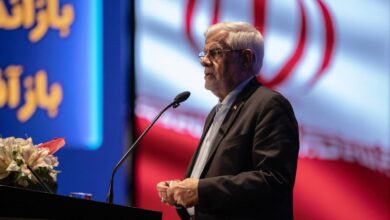 عارف: دولت آمادگی دارد پیشنهادات سازنده صنعت بیمه را پیگیری کند