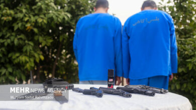 کشفیات پلیس فارس در حوزه سرقت، جعل و کلاهبرداری