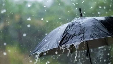 بارش باران در روستاهای اطراف کاشان بارش باران در روستاهای اطراف کاشان