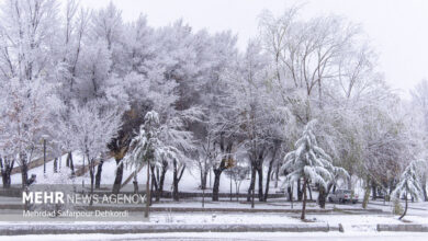بارش اولین برف پاییزی در منطقه پول کجور