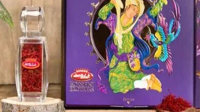 5822820.jpg