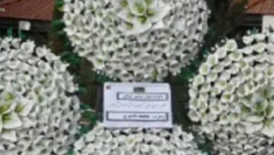 کرایه تاج گل؛ انتخابی هوشمندانه برای پیام همدردی محترمانه