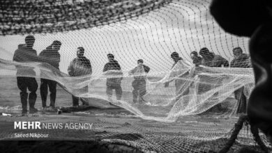 داداش پور: ۵۷۵ تُن انواع ماهیان استخوانی در گیلان صید شد