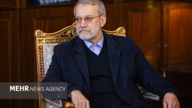 لاریجانی: شکل‌گیری ساختاری برای مذاکرات در حال پیشرفت است
