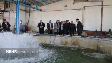 اله بخش:رونق صنعت آبزی‌پروری مشگین‌شهر اولویت اصلی است