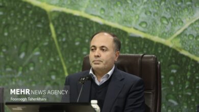 سفر وزیر جهاد کشاورزی به پاکستان سفر وزیر جهاد کشاورزی به پاکستان