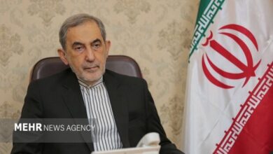 ولایتی: ایران اسلامی فقط در دفاع از خود دست به سلاح برده است