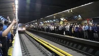 5907968.jpg