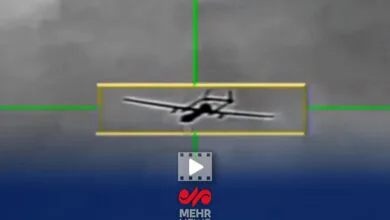 5926246.jpg