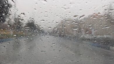 افزایش بارش‌های بهاری نزدیک به ۱۵ میلی متر در کیش