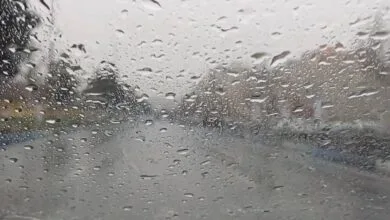 پایگاه اطلاع رسانی ایران