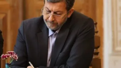 5951858.jpg