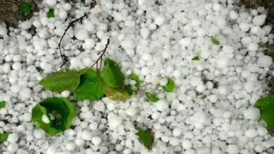 پایگاه اطلاع رسانی ایران