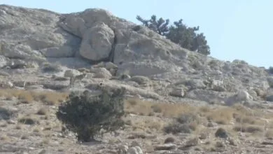 پایگاه اطلاع رسانی ایران