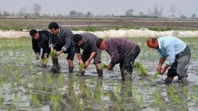 پایگاه اطلاع رسانی ایران