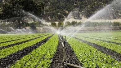 پایگاه اطلاع رسانی ایران