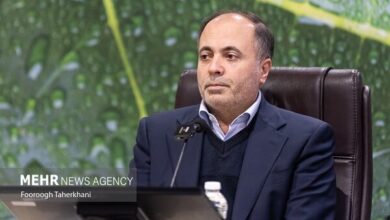 نوری: امنیت غذایی کشور با استمرار تولید محصولات کشاورزی تضمین می‌شود