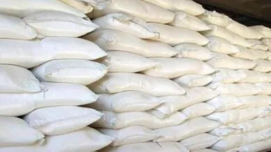 پایگاه اطلاع رسانی ایران