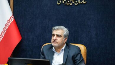 سالاری: کارگران نقش بی‌بدیلی در تولید و زیرساخت کشور دارند