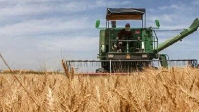 پایگاه اطلاع رسانی ایران